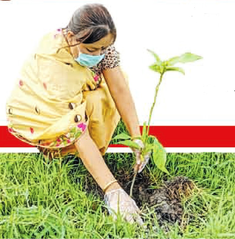 Tree Saplings being planted inside a Quarantine Centre at Phayeng as part of World Environment Day :: June 5 2020