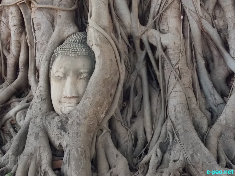 A Buddha Statue at Ayuthaya in Thailand
