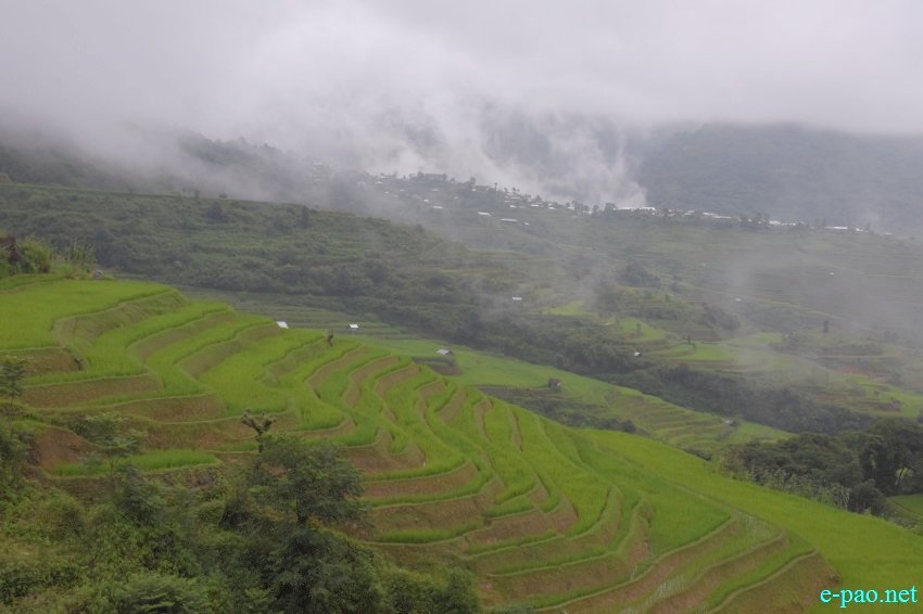 Landscape of Phuba Khuman Senapati district :: 22nd July, 2019