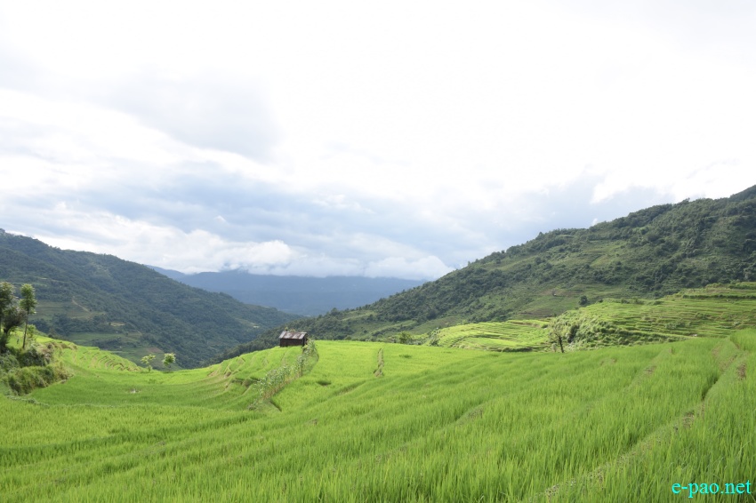 Landscape of Phuba Khuman Senapati district :: 22nd July, 2019