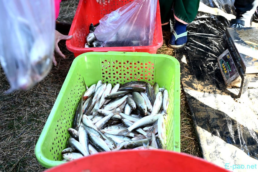 3rd Emoinu Fish Festival 2025 at Hapta Kangjeibung, Palace Compound :: 31st December 2025