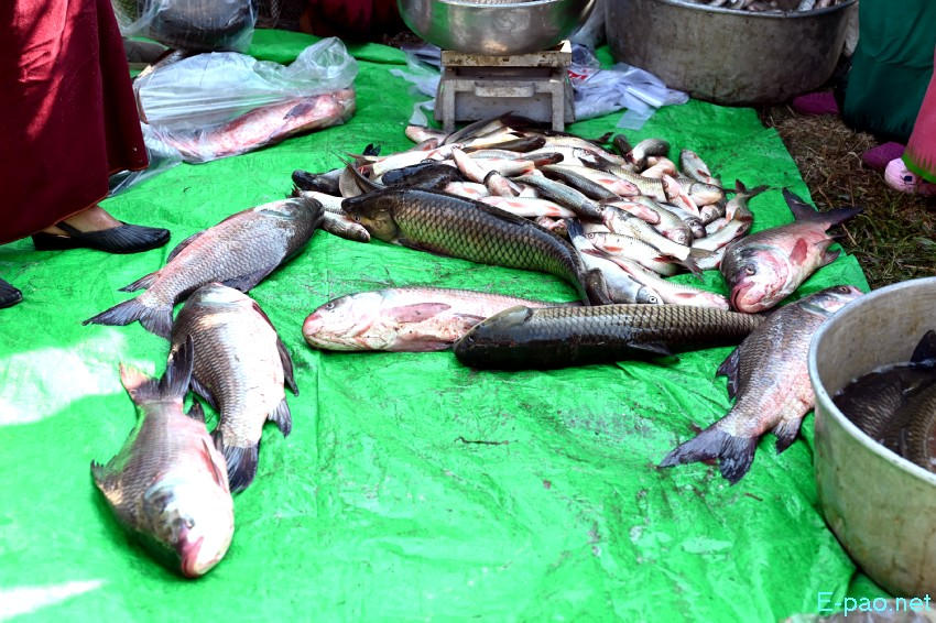 3rd Emoinu Fish Festival 2025 at Hapta Kangjeibung, Palace Compound :: 31st December 2025