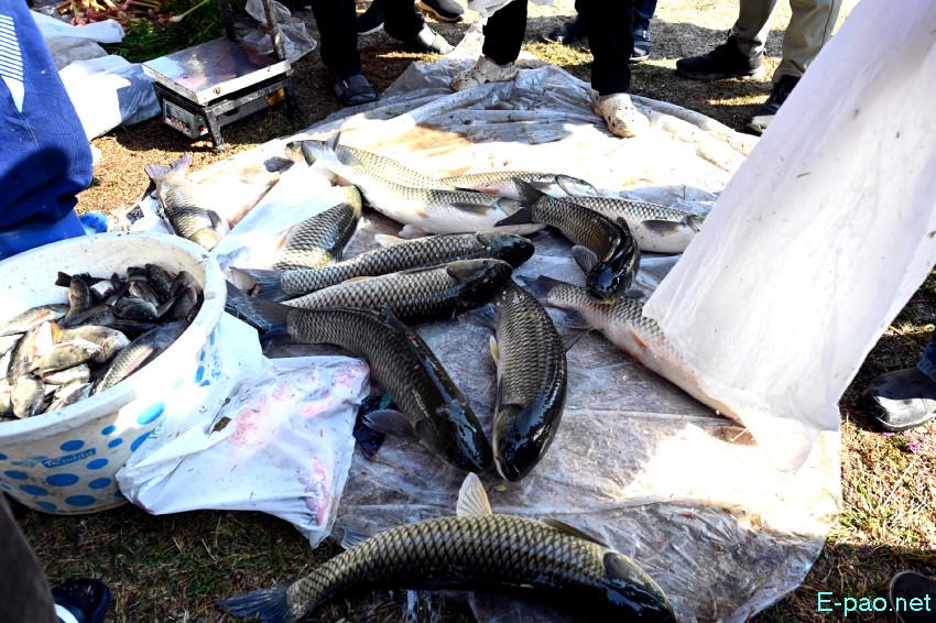 3rd Emoinu Fish Festival 2025 at Hapta Kangjeibung, Palace Compound :: 31st December 2025