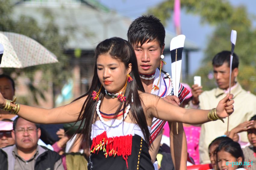 Traditional dress and ornament of the Zeliangrong people as seen at State level Gaan-Ngai 2014 at Keikhu, Kabui Village in January 2014