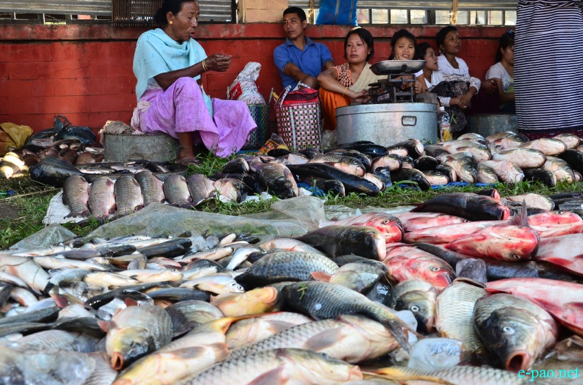 Fish Fair / Fish Crop Competition on eve of Ningol Chakouba festival at Mapal Kangjeibung :: October 24 2014