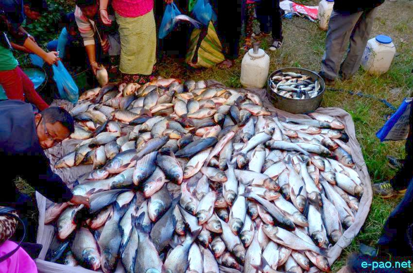 Ningol Chakkouba : Fish Fair / Fish Crop Competition at Inter State Bus Terminus Campus, Khuman Lampak :: November 12 2015