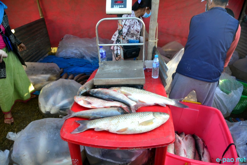 Ningol Chakouba : Annual Fish Fair / Fish Crop Competition 2021  at Mapal Kangjeibung :: 5th November 2021