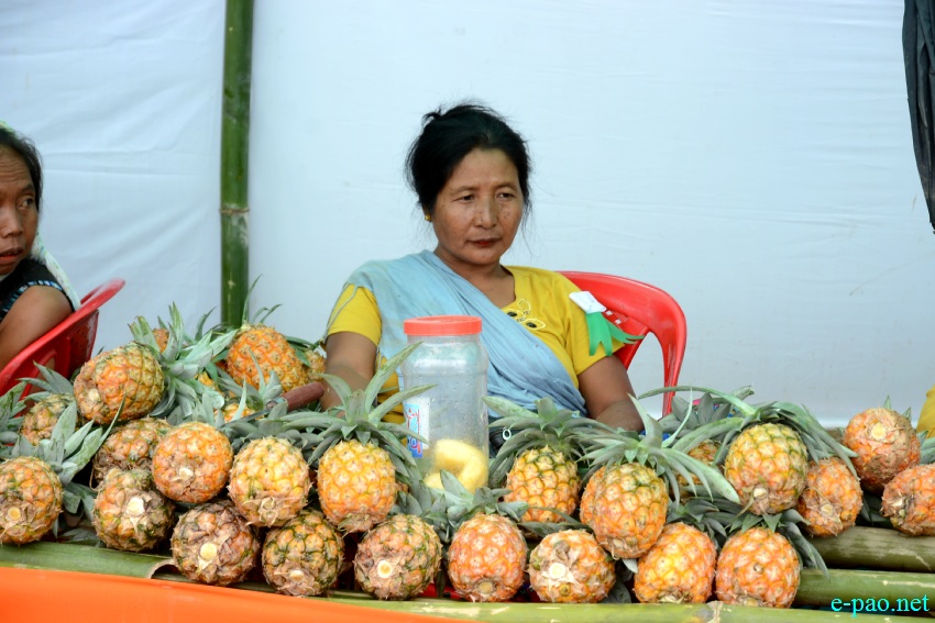 Xth State Level Manipur Pineapple Festival at Khousabung, Churachandpur :: 25th - 26th August 2017