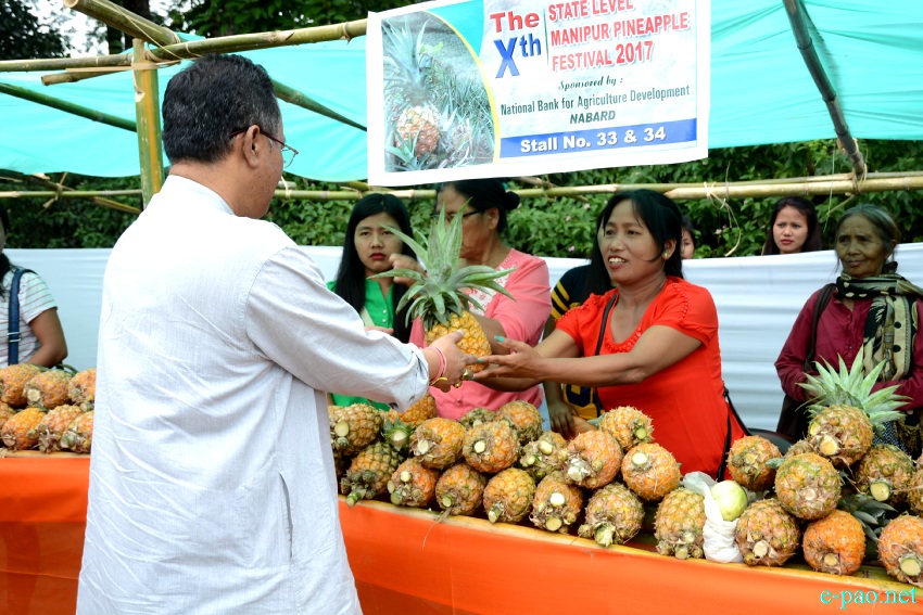 Xth State Level Manipur Pineapple Festival at Khousabung, Churachandpur :: 25th - 26th August 2017