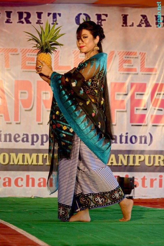 Cultural Program at Xth State Level Manipur Pineapple Festival at Khousabung :: 25 - 26 August 2017