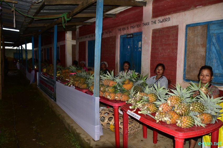 15th State Level Manipur Pineapple Festival at Bunglon High School Campus, Churachandpur :: 19th August 2022