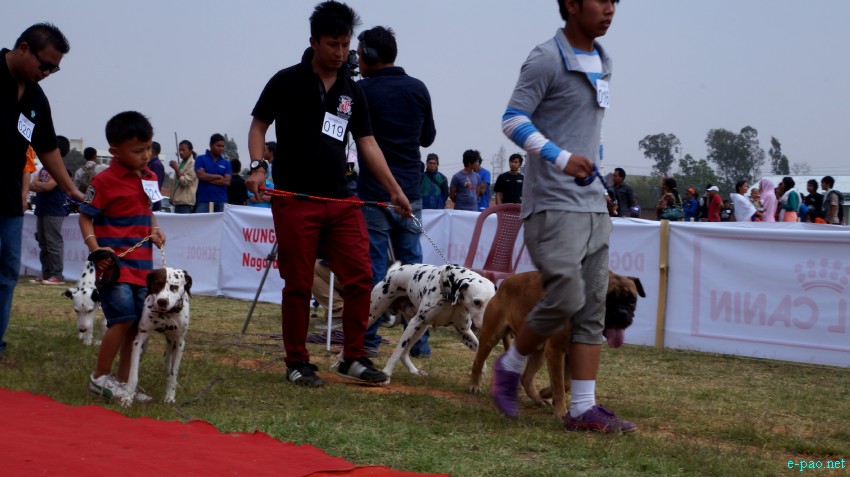 3rd All Breed Open Dog Show at the Thangmeiband Athletic Union (THAU) ground, Imphal :: March 24, 2013