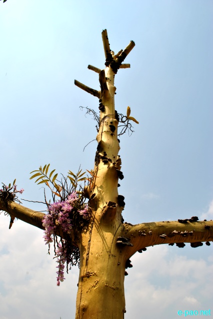 Millenium Garden at Haorang Sabal (2 Kms from Lamshang Bazar) : Flowers bloom in spring time :: March 2013