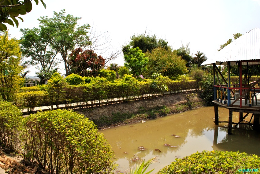 Millenium Garden at Haorang Sabal (2 Kms from Lamshang Bazar) : Flowers bloom in spring time :: March 2013