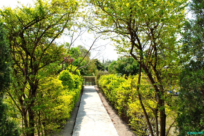 Millenium Garden at Haorang Sabal (2 Kms from Lamshang Bazar) : Flowers bloom in spring time :: March 2013