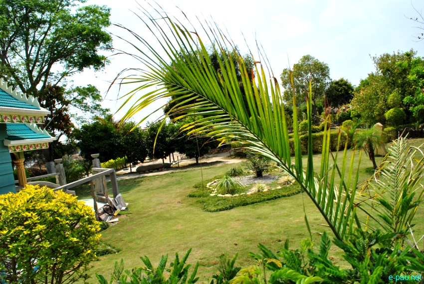 Millenium Garden at Haorang Sabal (2 Kms from Lamshang Bazar) : Flowers bloom in spring time :: March 2013