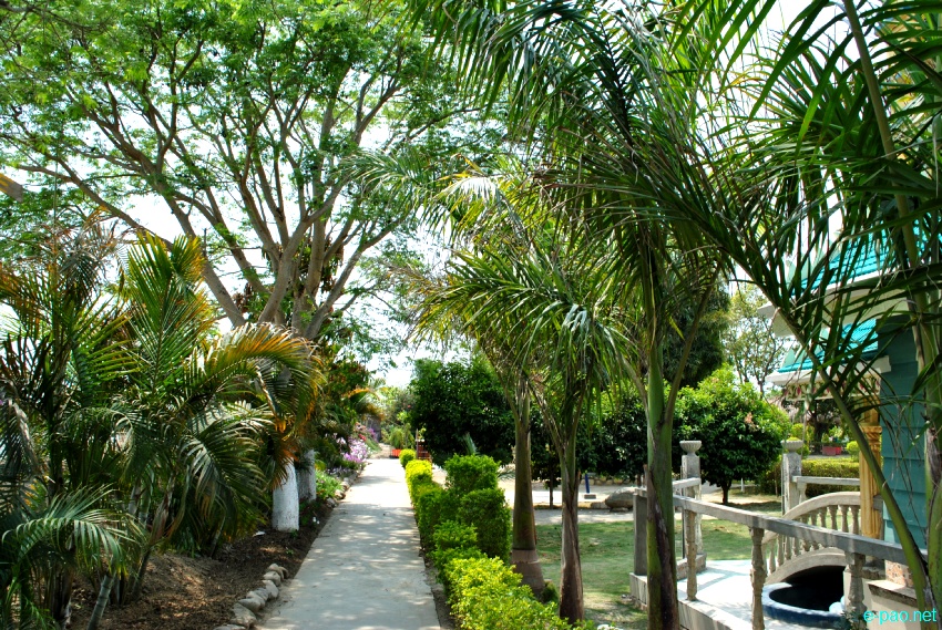 Millenium Garden at Haorang Sabal (2 Kms from Lamshang Bazar) : Flowers bloom in spring time :: March 2013