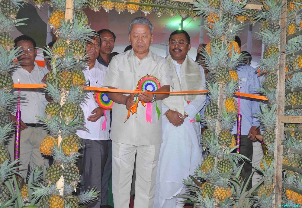6th State Level Pineapple Fair / Youth Festival 2013 at Thambalnu Market Andro  :: 10 July 2013