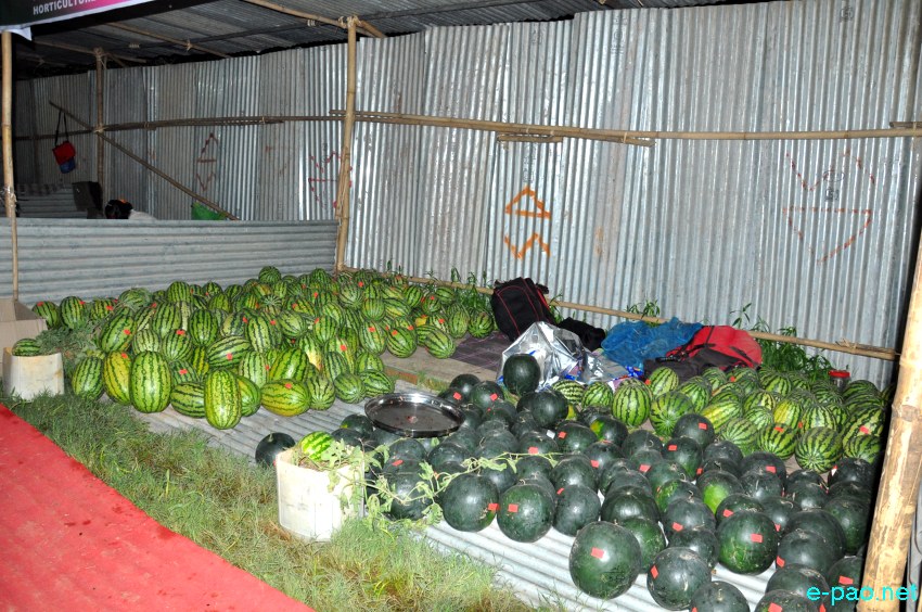 2nd State Level Watermelon Festival, 2013 at Iboyaima Shumang Leela Shanglen, Imphal :: 1st to 10th June 2013