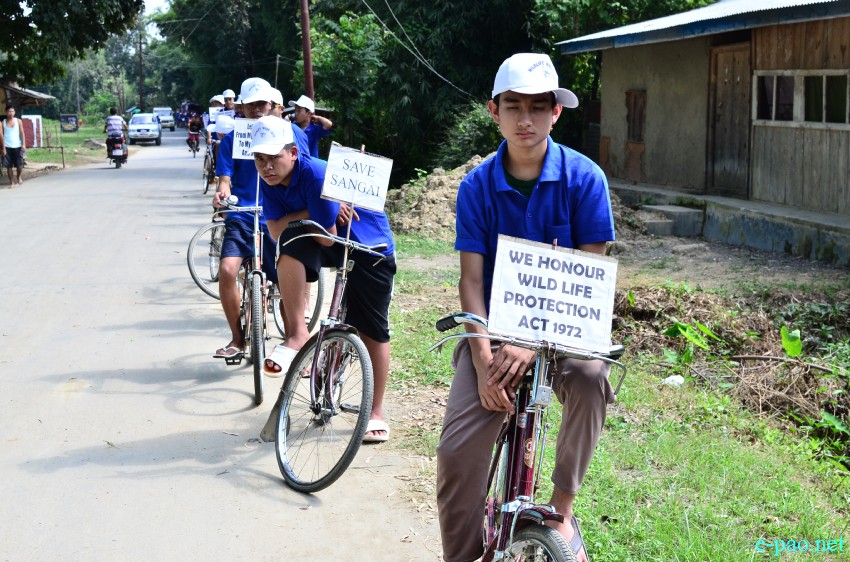 'Save Sangai' cycle rally in connection with Wildlife Week at Keibul Lamjao National Park :: October 03, 2014