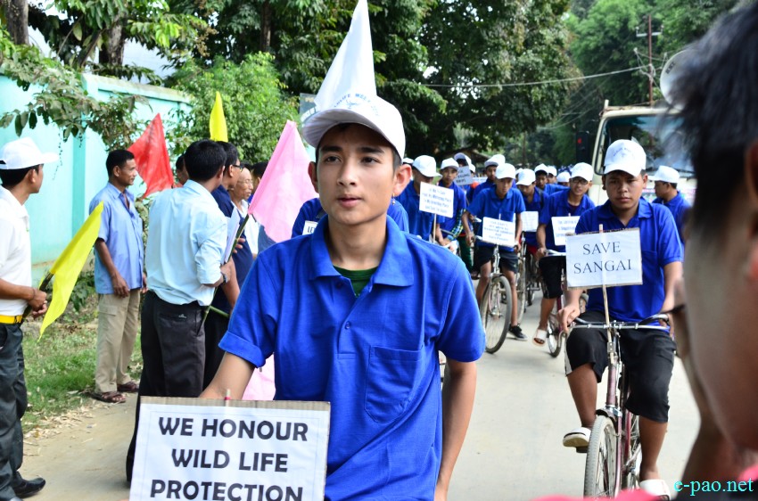'Save Sangai' cycle rally in connection with Wildlife Week at Keibul Lamjao National Park  :: October 03, 2014