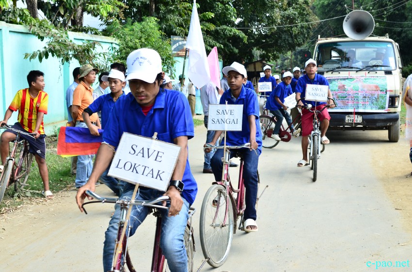 'Save Sangai' cycle rally in connection with Wildlife Week at Keibul Lamjao National Park  :: October 03, 2014