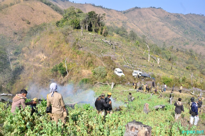 Poppy plantation destroyed at Chandel (Machi Sita Jn, Tonghlang, Hongjang and T/Huimol)  :: 17 Feb 2015
