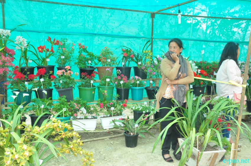 2nd Flower Festival at Pfukhro, Mao Gate, Senapati district on April 09 2016