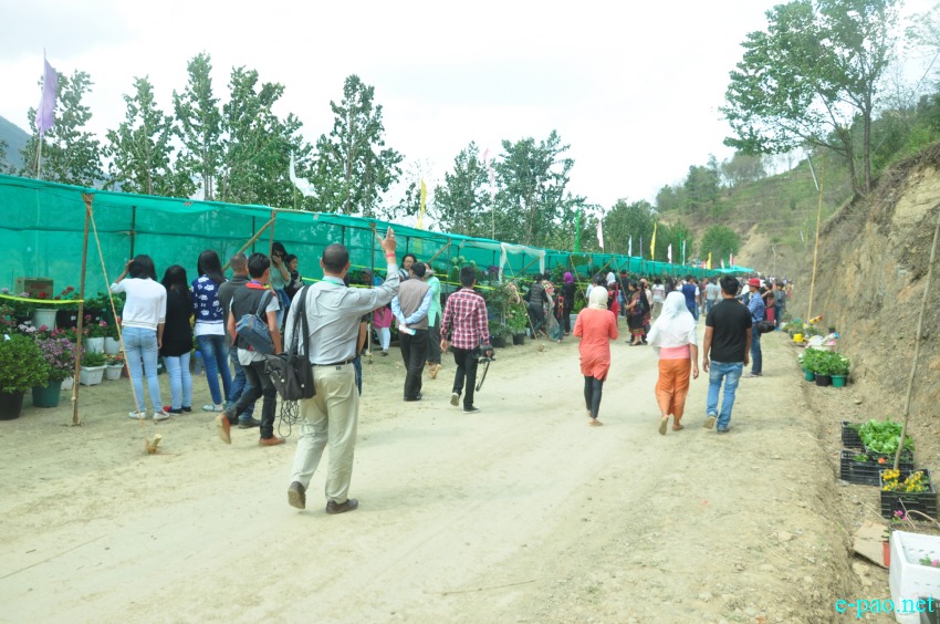 2nd Flower Festival at Pfukhro, Mao Gate, Senapati district on April 09 2016