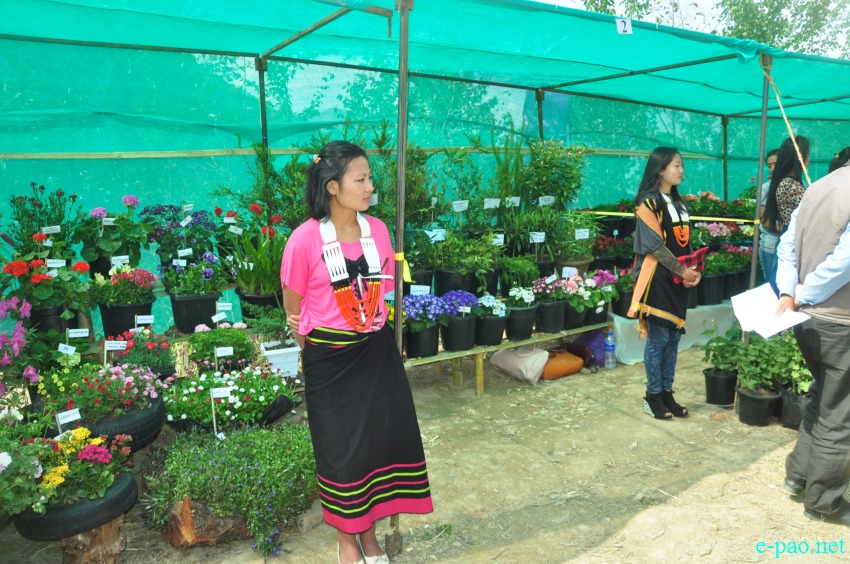 2nd Flower Festival at Pfukhro, Mao Gate, Senapati district on April 09 2016