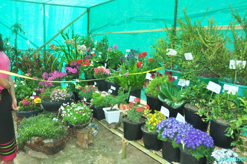 2nd Flower Festival at Pfukhro, Mao Gate, Senapati district on April 09 2016