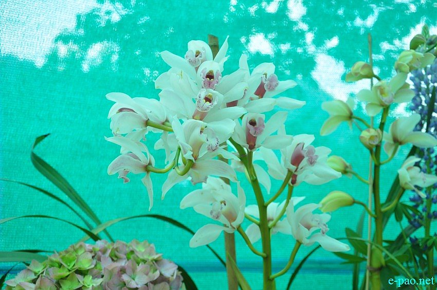 2nd Flower Festival at Pfukhro, Mao Gate, Senapati district on April 09 2016