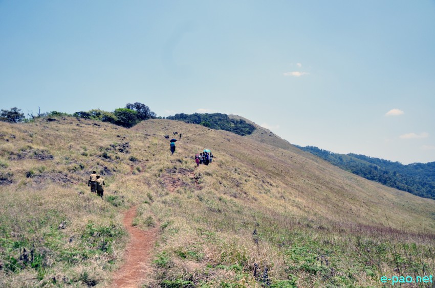 Climbing the Shirui Hills during 2nd Shirui Lily Festival at Ukhrul :: 25 April 2018