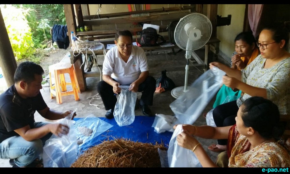 A mushroom training programme on cultivation of mushroom at Ningombam Awang Leikai :: July 15 2020
