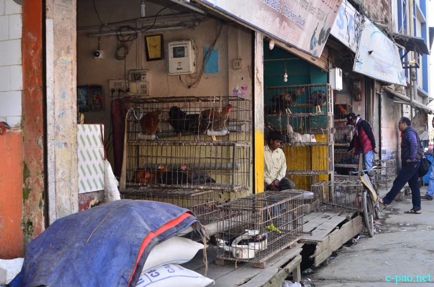  Chicken vendors at Nagamapal on 5th Feb 2015