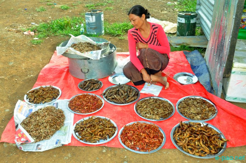 Fish and other produce sourced from Loktak Lake sold at Moirang :: June 22 2016