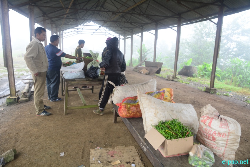 Certified organic U-Morok ( King Chilly ) at Shirarakhong, Ukhrul District :: 10th August 2017