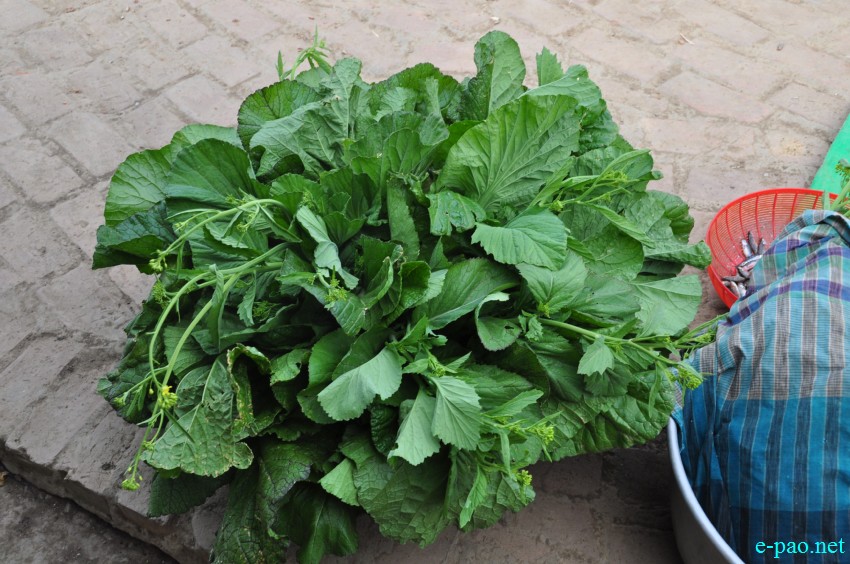 Winter vegetables grown at Thanga as seen on 10th February 2018