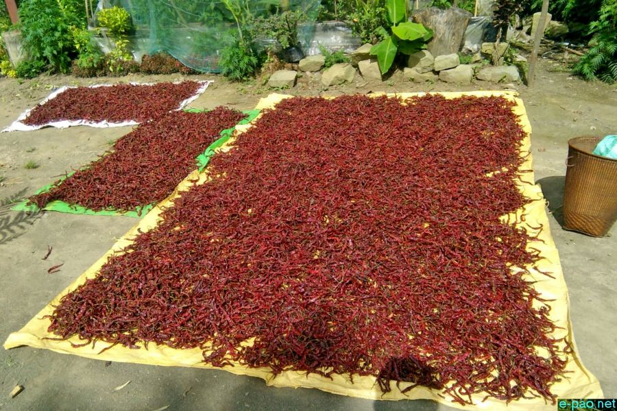 Hathei : Famous Chilli at Sirarakhong Village, Ukhrul District  :: 22 to 24 August 2019
