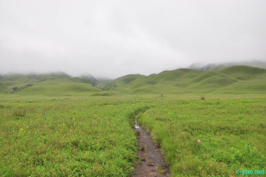 Trekking to  Dzuko Valley in Manipur , Manipur :: Second Week June 2014
