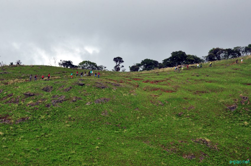 Shirui Ching Kaba : landscape of Shirui (Siroy) Hills :: Third Week May 2014