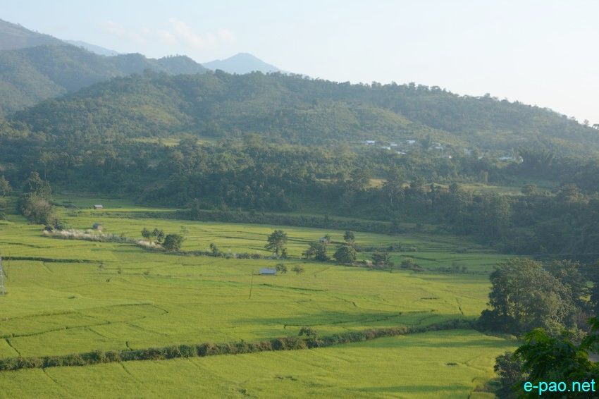 The verdant hills landscape of Ukhrul :: 17 October 2015
