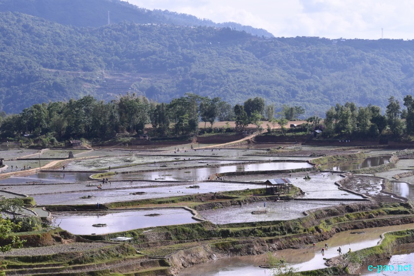Landscape of Purul in Senapati District, Manipur  :: 15th May 2019