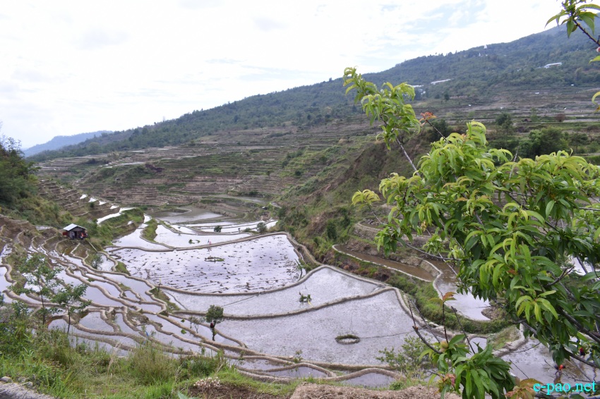 Landscape of Purul in Senapati District, Manipur  :: 15th May 2019