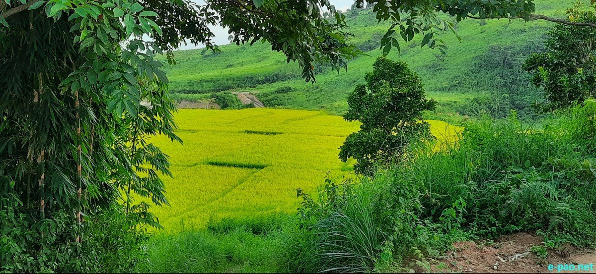 Mesmerizing view of Imphal valley from Tuikhang Aimol Village  :: September  2020