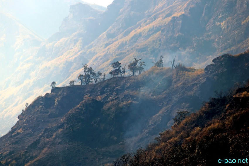 Wildfire in the hill ranges of Dzuko in Senapati District   :: first week of January 2021