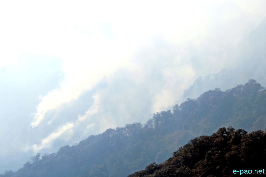 Wildfire in the hill ranges of Dzuko in Senapati District   :: first week of January 2021