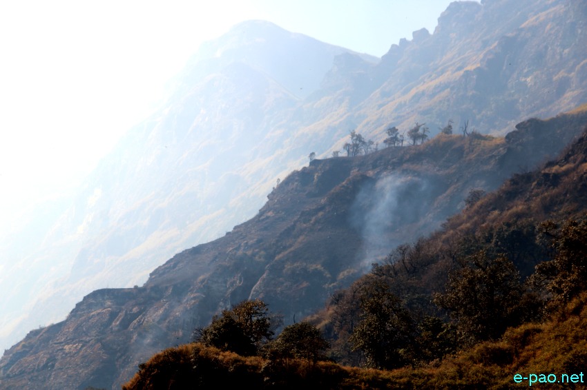  Wildfire in the hill ranges of Dzuko in Senapati District   :: first week of January 2021  