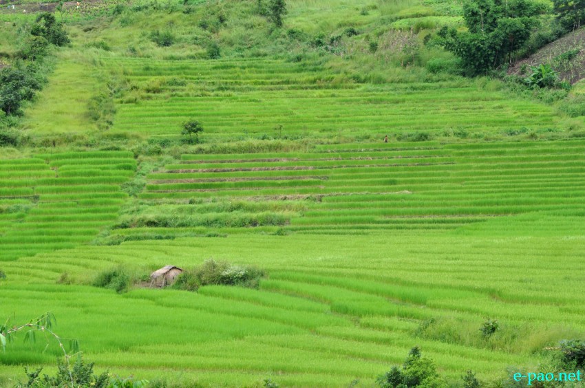 Landscape photo on the road to Kamjong, Ukhrul District :: Last week of September 2013
