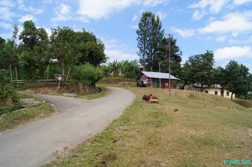 Bungte Chiru village situated at western side of Keinou village on Imphal Churachandpur road :: November 2014
